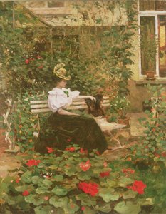 Bloemen op het terras